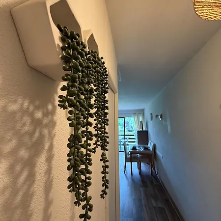 Daxlodge T2 Zen Apartament Dax